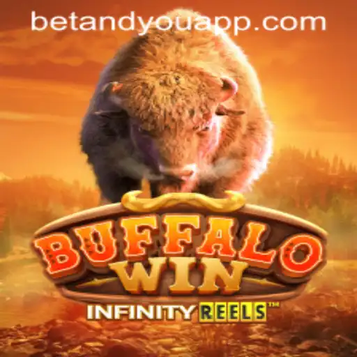 betandyou Casino App