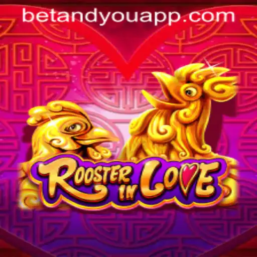 betandyou Casino App